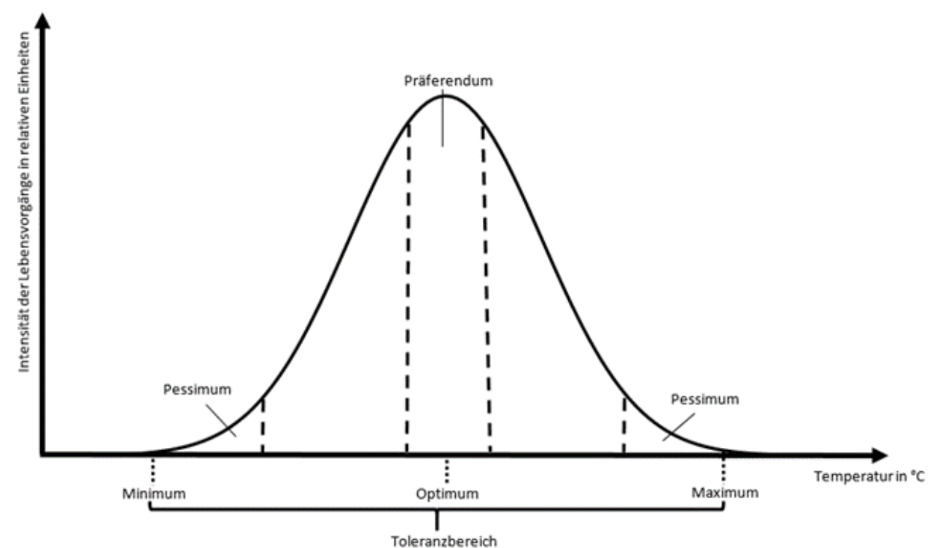Diagramm zur Temperaturtoleranz mit Minimum, Optimum, Maximum und Pessimum.